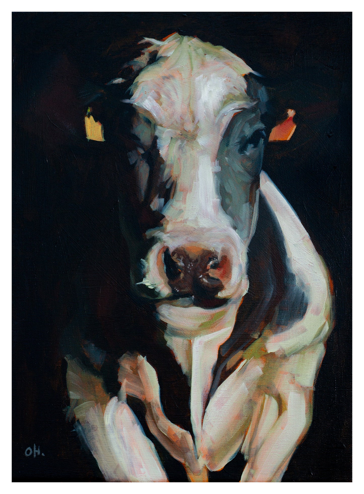 ARLA DARKNESS // LIMITED EDITION