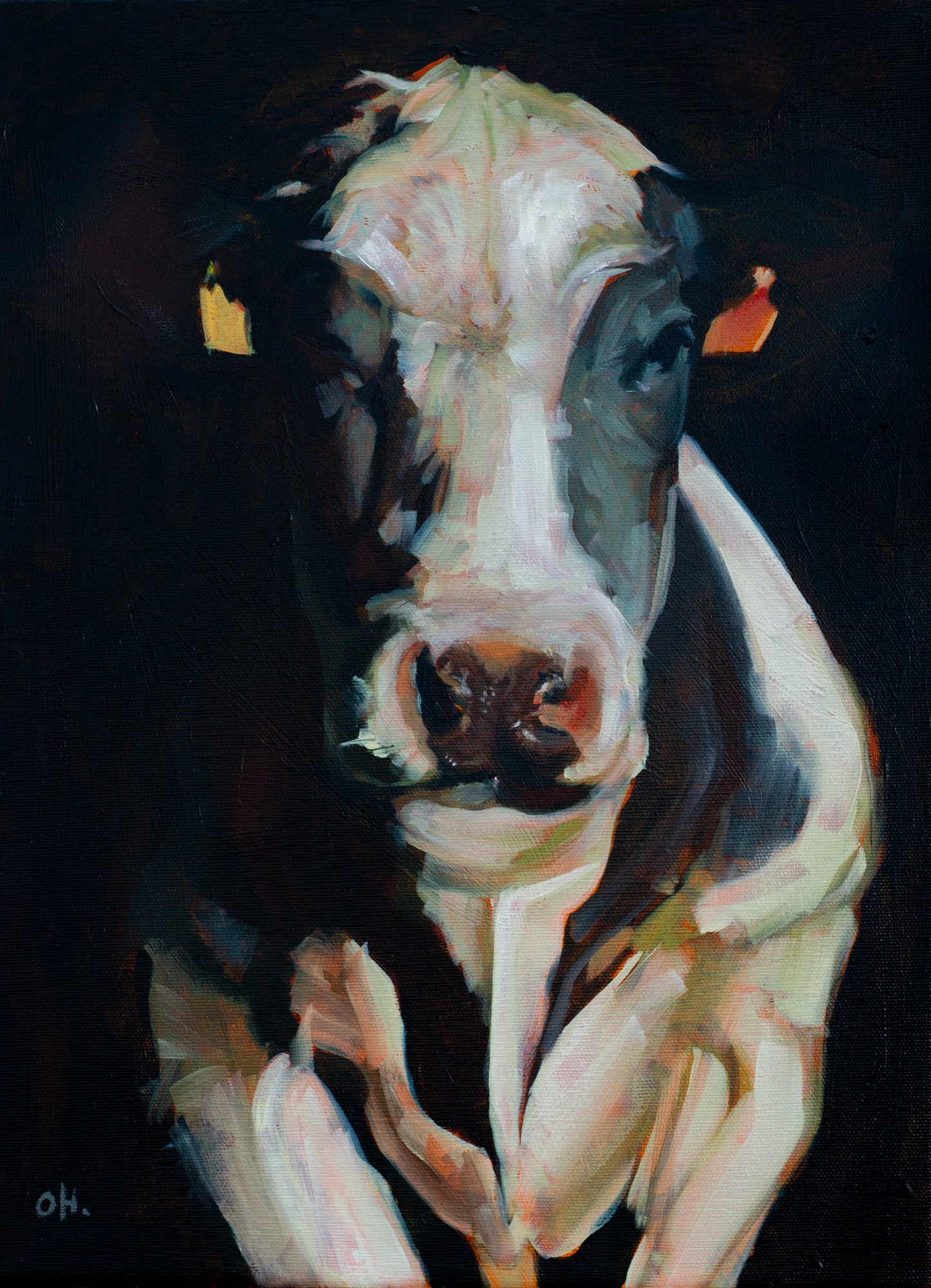 ARLA DARKNESS // ORIGINAL
