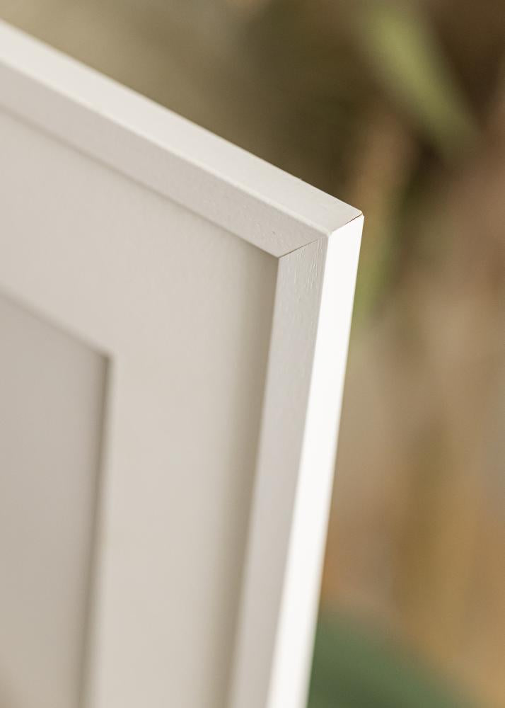 White frame