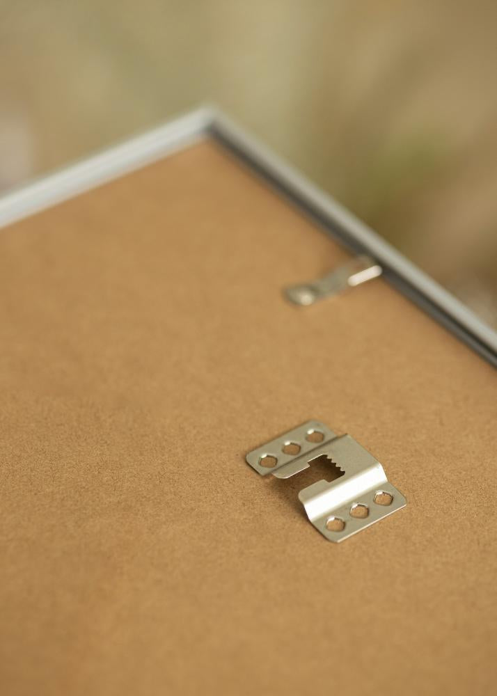 Silver frame