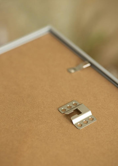 Silver frame