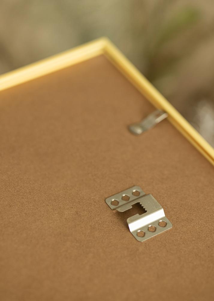 Shiny Gold frame